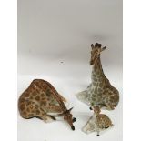 Two large, Russian Lomonosov porcelain giraffe models plus a baby.Largest 30cm high, no damge or