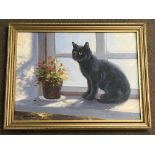 A framed oil painting study of a black cat, on canvas by Richard Blowey (b 1947)