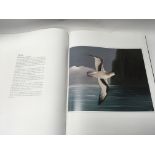 A limited edition book on the fifty rarest birds i