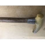A Edwardian walking stick with horn handle and sil