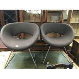 A pair of Boss design office chairs - NO RESERVE