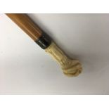 A Victorian walking stick the ivory handle in the form of a clenched fist with silver collar .