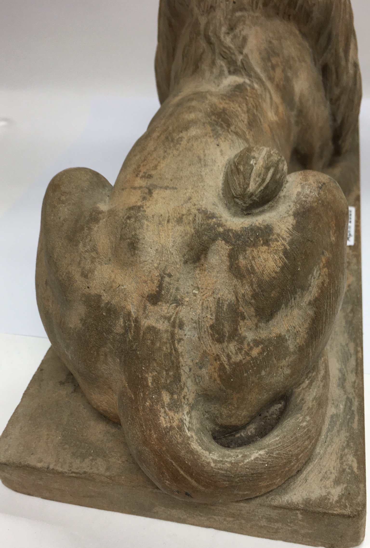 A Signed terracotta sculpture of a resting lion in the style of Landseer c1850. 34.5cm - Image 6 of 7