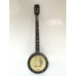 A five string banjo and carry case.