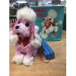 Elegant poodle, remote control, battery operated,