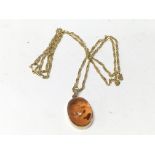 A 9ct gold amber pendant on a 9ct gold chain.