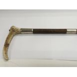A silver banded horn handled cane.