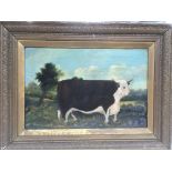 A Victorian gilt framed oil on board of a bull, ap