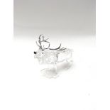 Swarovski stag in box and in good condition 15cm i