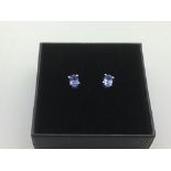 A boxed pair of silver studs set with tanzanite.