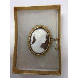 A 9ct gold mounted cameo brooch