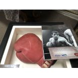 A framed boxing glove attribution to Charle Magri with photo. In a fitted case .