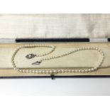 A graduating cultured pearl necklace, with silver clasp, in box