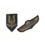 Badges SAS a Beret badge & Jump wings
