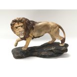 A Beswick figure of a roaring lion, measuring approximately 31cm across
