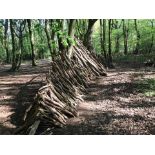 2ND Forrest school Sessions - 2 hours of fun in the fresh air, including climbing ropes, cooking