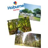 Summer 2021 - A summer break within the New Forest. Your accomodation will be at hoburne Bashley the