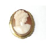 A 9carat gold brooch set with an oval cameo of a y