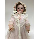 A German doll in Edwardian style dress with jointe