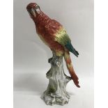 A Naples figure of a parrot