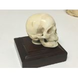 A 19th century carved ivory skull with articulated jaw mounted on a square plinth. Hight included