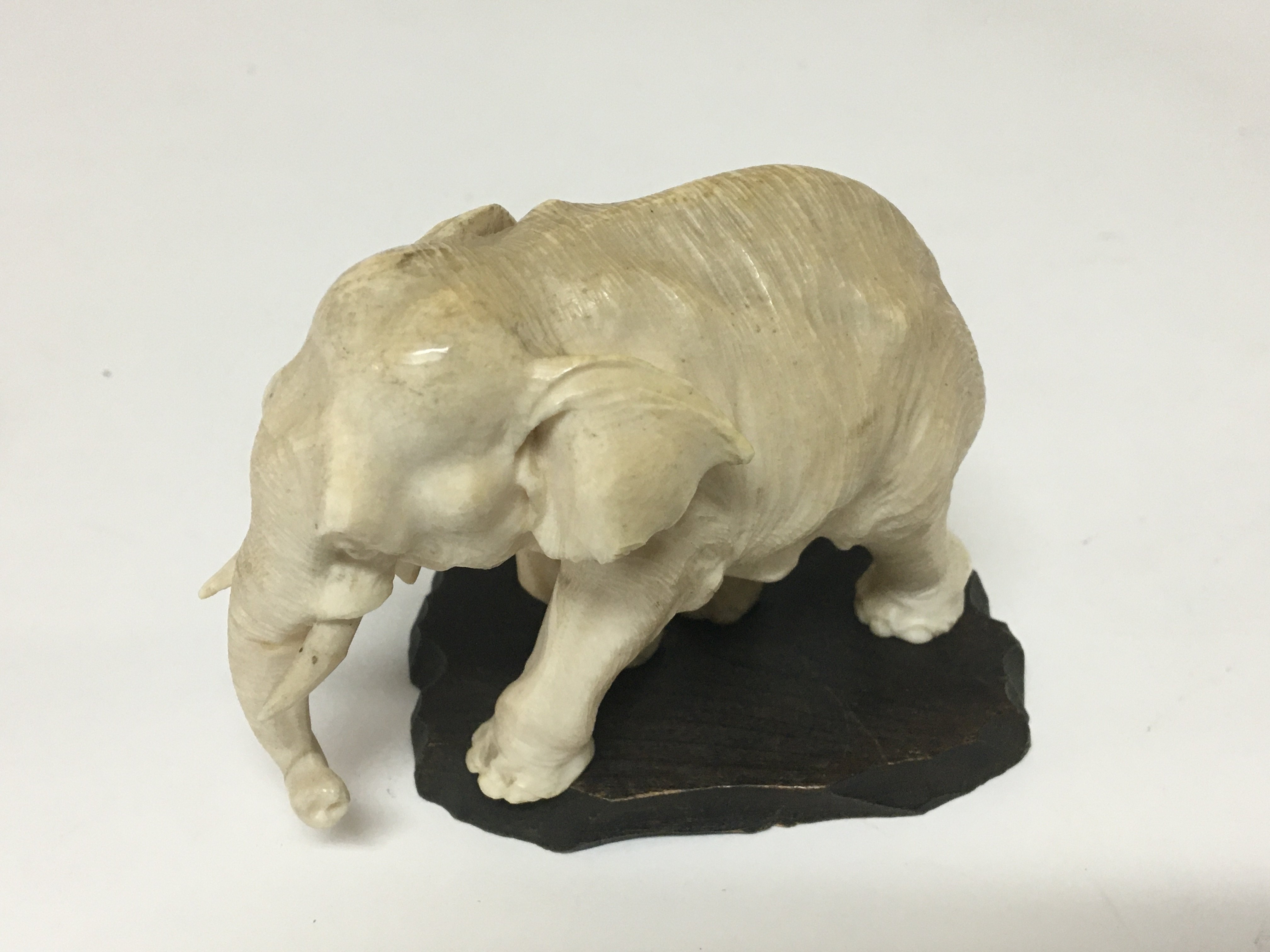 A carved ivory figure in the form of an elephant Hight 7cm