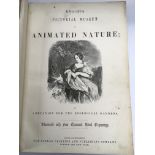 A Victorian book 'Knight's Pictorial Museum Of Animated Nature'.