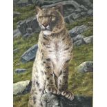 A Quality modern oil painting on board a study of a leopard on a Rocky plane. Indistinctly signed