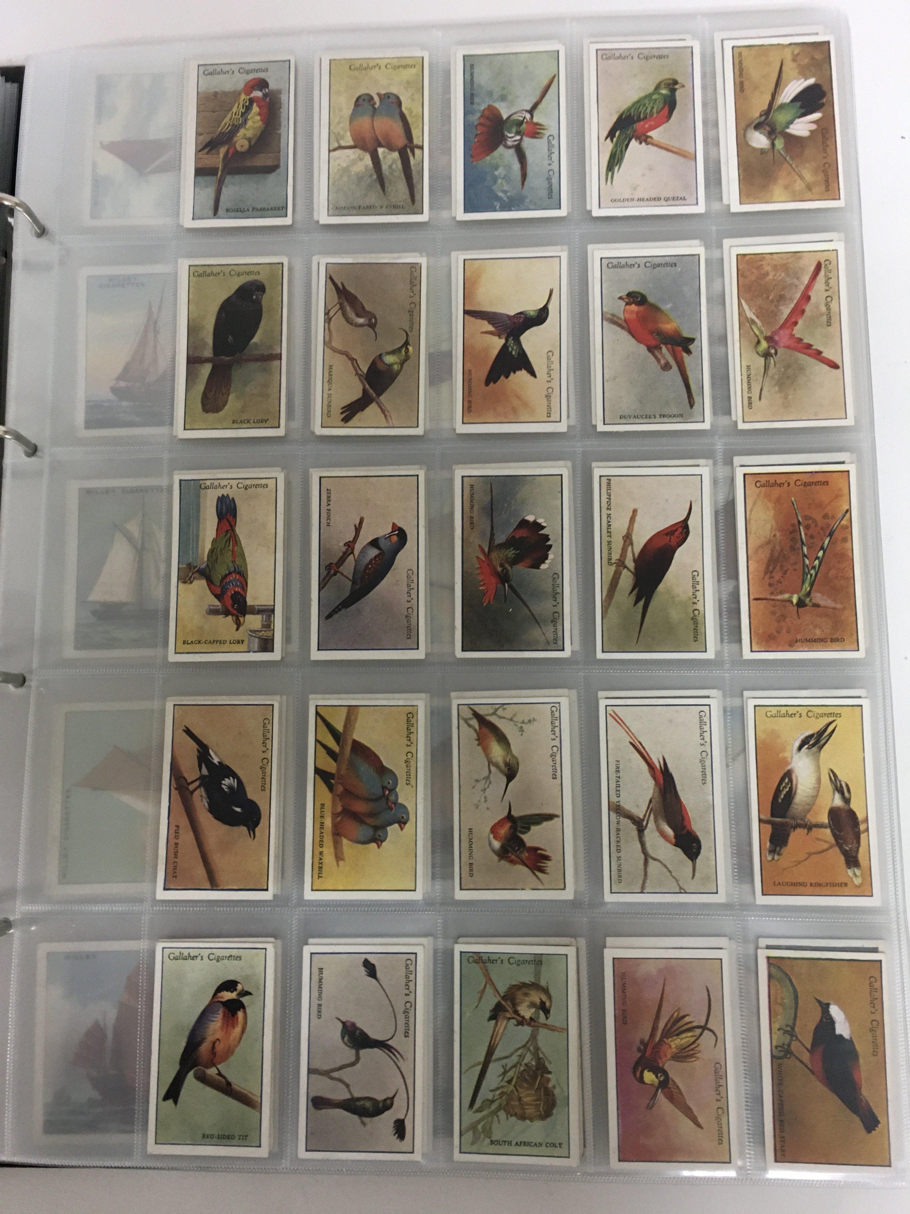 A superb collection of cigarette card sets including The “ Nelson “ series and “ British - Image 8 of 14