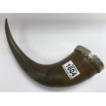 A cow horn drinking vessel with white metal rim