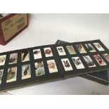 Four albums containing cigarette cards mainly Will