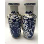 A pair of 19 th century Chinese blue and white vas