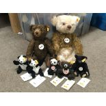 A collection of Steiff bears including one called Brownie, three small pandas, a small black bear