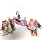 A collection of dolls including Barbie etc.