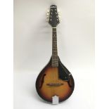 A modern Boston mandolin.