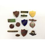 Thirteen enamel badges.