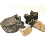 Two Genuine Dinosaur bones including a section of