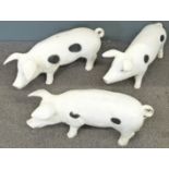 Three shop display pigs, largest 30cm