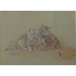 Frank Paton (1856-1909): Watercolour 'The End of an Interesting Tail' two cats by a mousetrap,