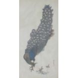 Late 19th/20thC Japanese watercolour of a peacock, with seal mark and signature, 41 x 21cm