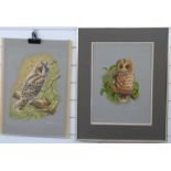 Graham Austin two watercolour and gouache studies of owls, both signed one dated 1977, each 45 x