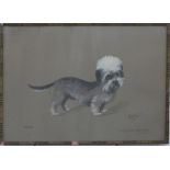 S. Ripley, watercolour / gouache on paper 'Rajah, Coneygreave-Maharajah' Dandie Dinmont Terrier dog,