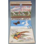 Puffin Picture Books including Fireworks & Fetes, Animals of the Countryside. The Story of China