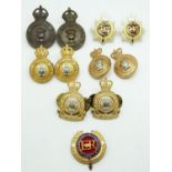 Eleven British Army metal collar badges for the Army Catering Corps and Royal Corps of Transport