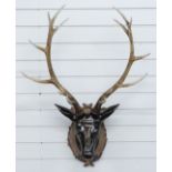A faux deer head and antlers, probably resin, W55 x H98cm