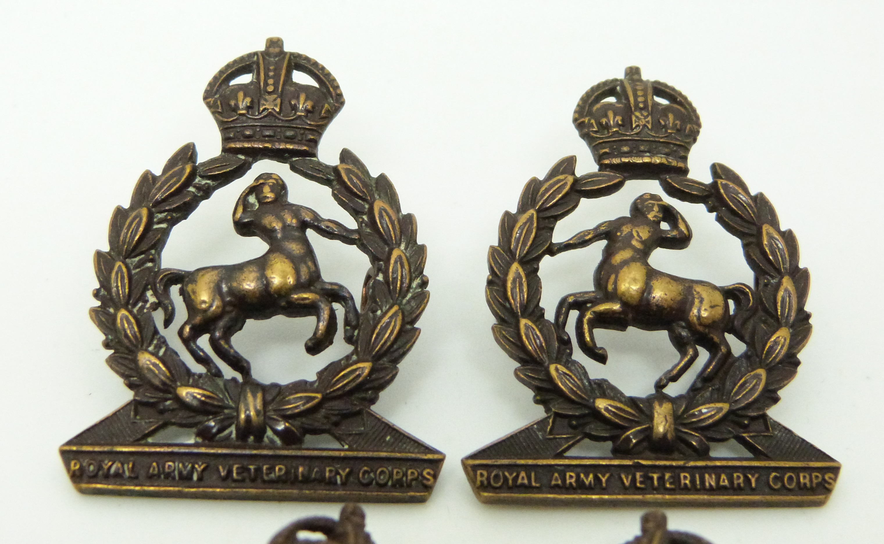 British Army Veterinary Corps pre and post 1918 metal collar badges in two pairs plus one other, - Image 2 of 5