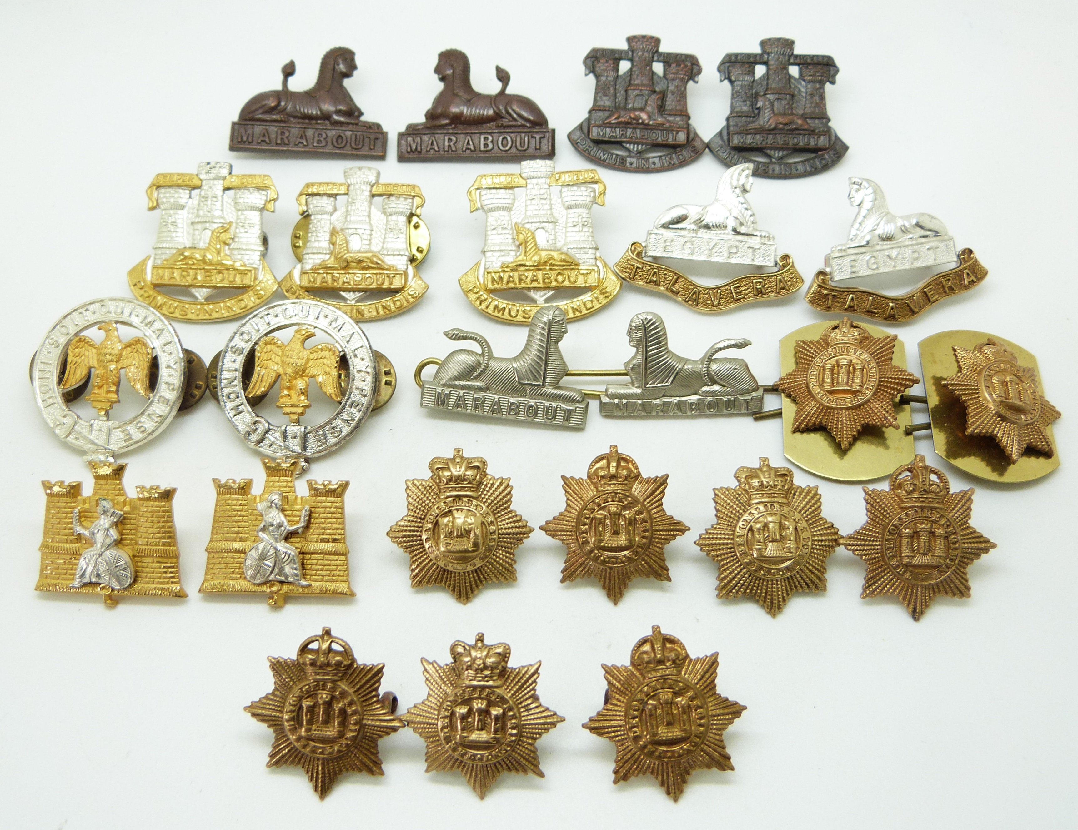 Twenty Four British Army Devonshire and Dorsetshire Regiment metal collar badges in eleven pairs