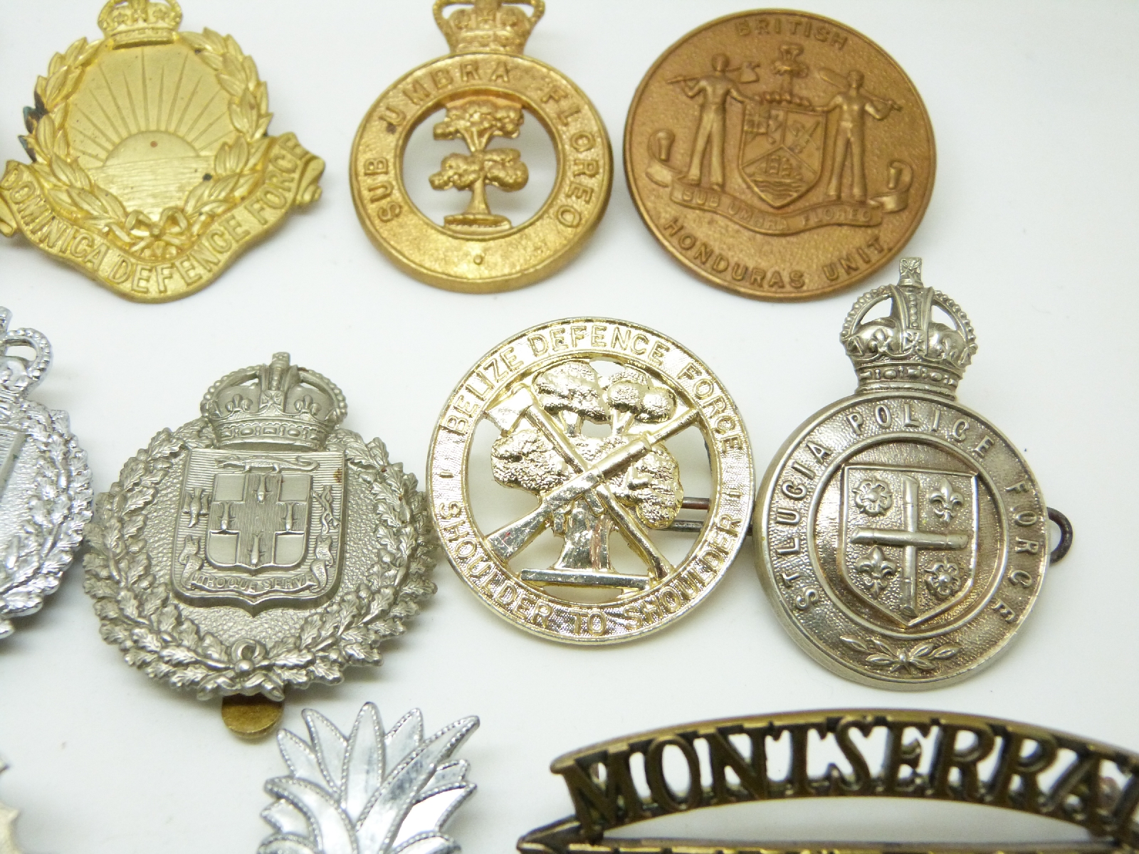 Eighteen British Commonwealth military badges including examples for ...