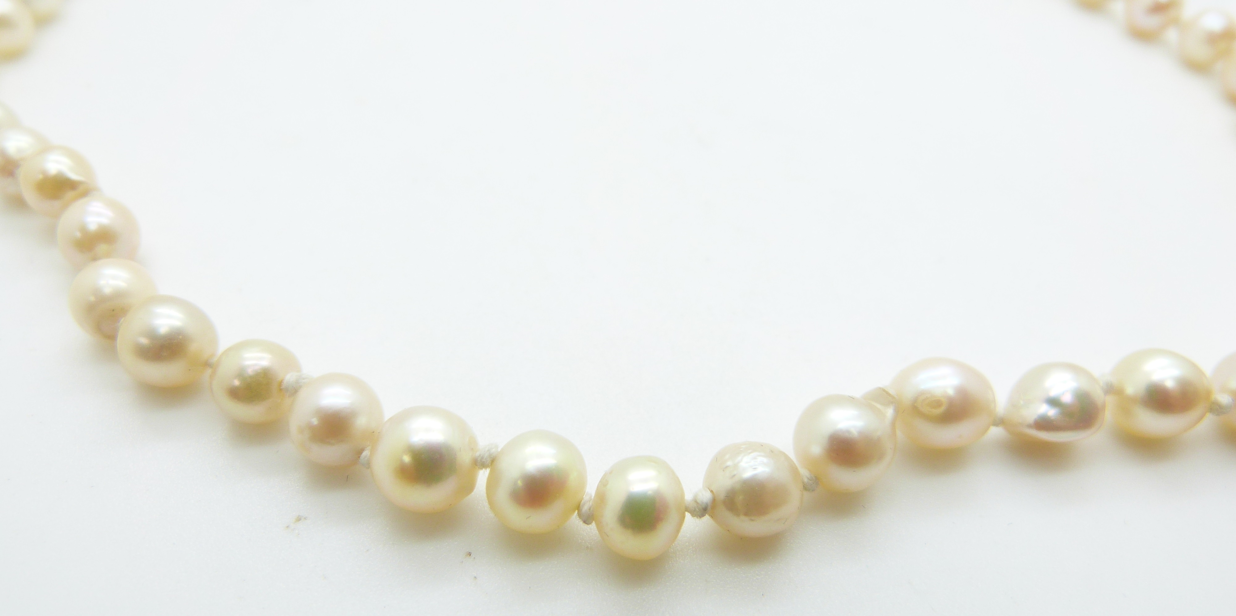 A single strand of cultured pearls with 18ct gold clasp set with an opal triplet, 48.5cm long - Image 2 of 3