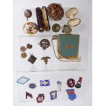 9ct gold and amber cheroot holder, military badges, guilloché enamel brooch, RAF sweetheart compact,